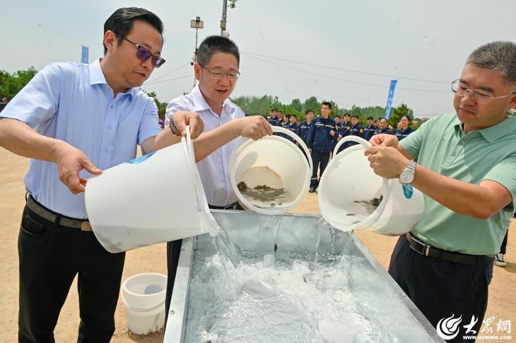 青岛特殊钢铁举行增殖放流活动,投放3600万单位渔业苗种